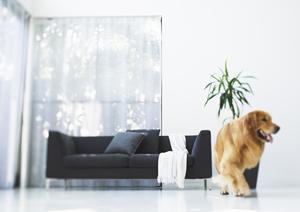 千葉市にある外構工事に強いスタイルガーデン