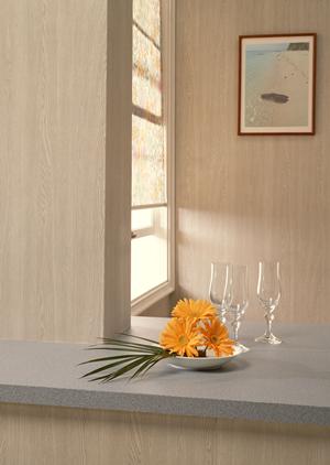 札幌の付近のリフォーム会社なら