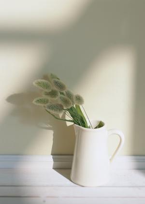 ここならデザイン性の高い注文住宅が建てらえます