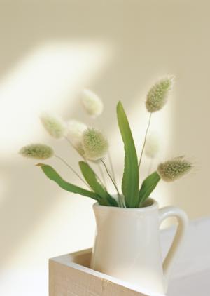 水漏れ保険を利用して修理をしてくれる業者について