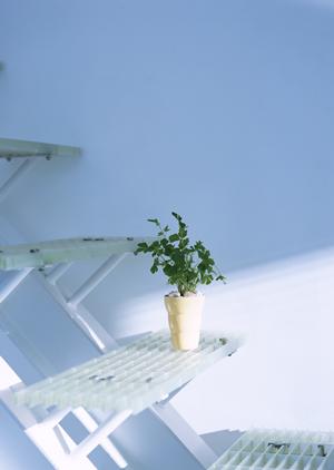 【初心者でも簡単】作業手順書の作り方とポイント徹底解説！効率的な書類作成法